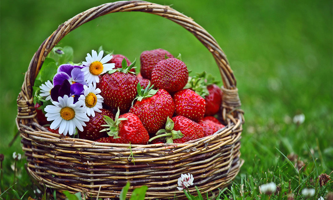 楚雄点呀点水果电商APP开发案例